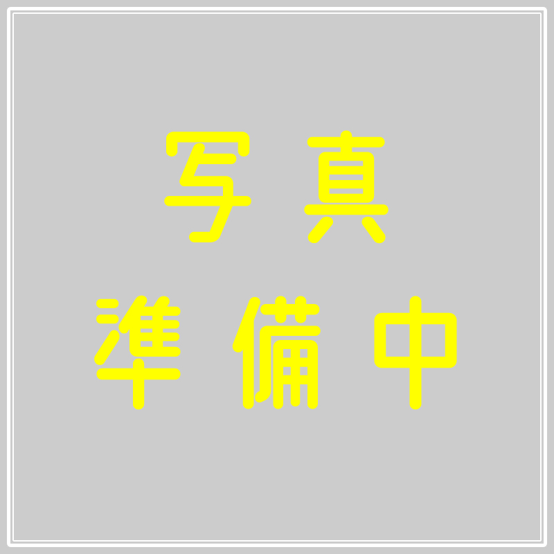 大判インクジェットプリント 大判インクジェットプリント